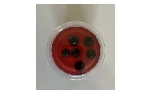 ブルーベリーとプラムの手作りゼリー ※配送不可地域：離島