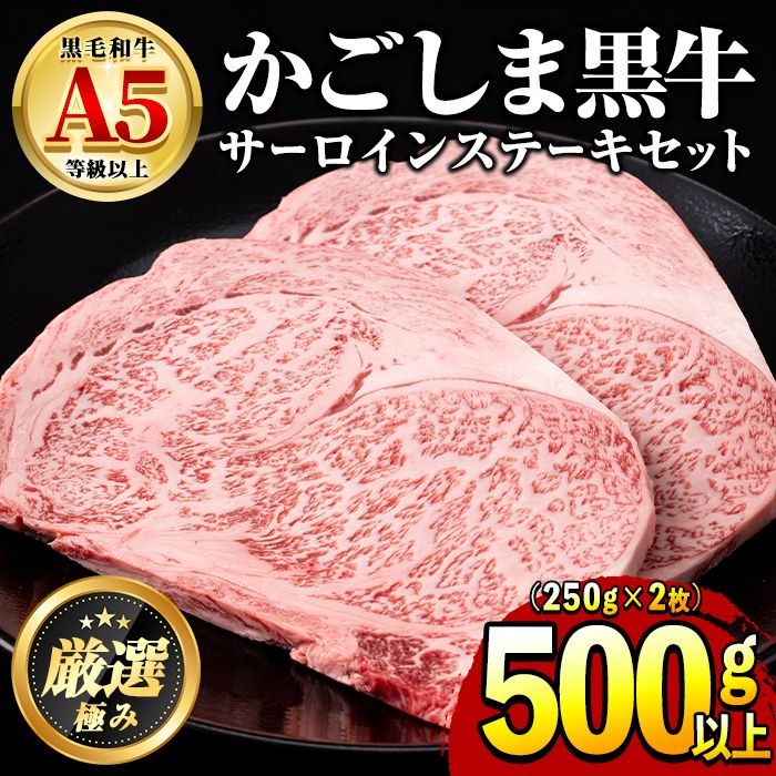 [30963]鹿児島県産黒毛和牛!A5等級サーロインステーキ(計500g・約250g×2枚)国産 牛肉 肉 冷凍 サーロイン 鹿児島 ステーキ 焼肉 BBQ バーベキュー[前田畜産たかしや]