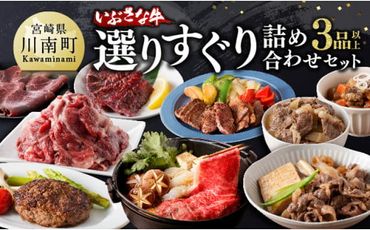 いぶさな牛 選りすぐり 詰め合わせセット [肉 牛肉 精肉 いぶさな牛 国産 九州産 宮崎県産] [F0501]