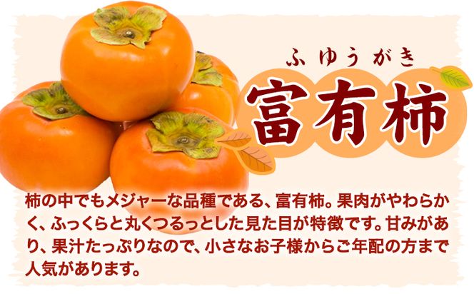 【先行予約】甘柿の王様 和歌山産 富有柿 約7.5kg 秀品 サイズおまかせ 厳選館《2026年11月中旬-12月上旬頃出荷》和歌山県 日高町 柿 カキ フルーツ ジューシー---iwsh_gsk171_11c12j_25_22000_75---