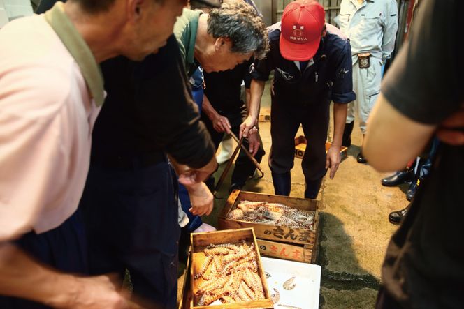 BG065【定期便】有明海 旬の鮮魚 漁協おすすめ 海の幸定期便 計6回