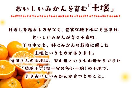 ご家庭用『清晃アグリ』のご家庭用みかん★約4kg(2S-2Lサイズ) 予約受付中 フルーツ 秋 旬★熊本県玉名郡玉東町 健康な土で育つジューシーおいしいみかん！ちょこっと訳あり《11月中旬-12月末頃出荷(土日祝除く)》---sg_wagurimikan_bc11_24_7500_4kg---