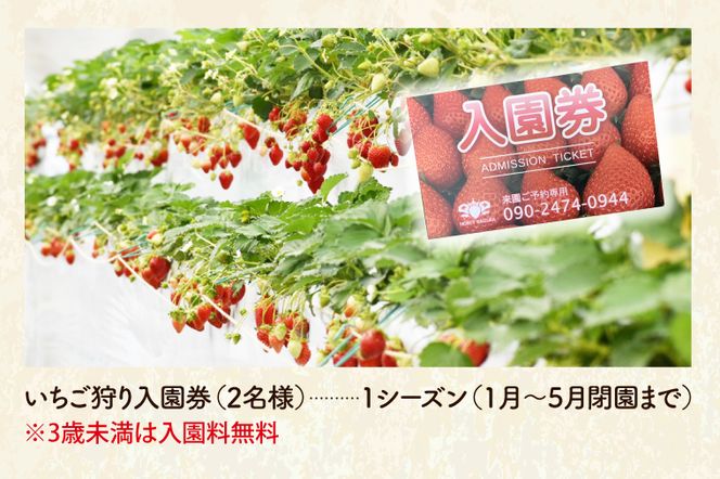 CS002-1 30分食べ放題　いちご狩り入園券（2名様）