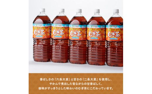 健康ミネラル むぎ茶2L×6本×2ケースPET [6ケ月定期便] （麦茶）[D07359t6]