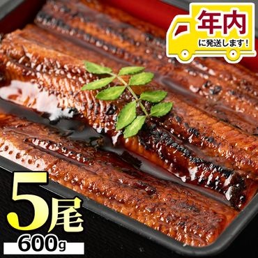 12月17日までのご入金で年内発送！並サイズの満足感！東串良町のうなぎ蒲焼(無頭)(5尾・計約600g・タレ、山椒付)【アクアおおすみ】【0244311a】