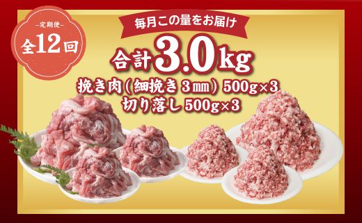 DM021  ＜定期便＞12回プラン 幻の銘柄豚 富士湧水ポーク 毎月美味しいお肉が届く！ 切り落とし1.5kg+挽肉1.5kg（保存に便利な真空パック）