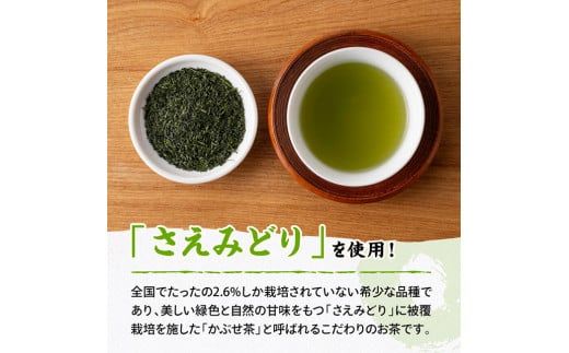 宮崎県産茶　深蒸煎茶（赤）100ｇ10袋セット 【 宮崎県産 川南町産 茶 お茶 国産茶 】[C08701]