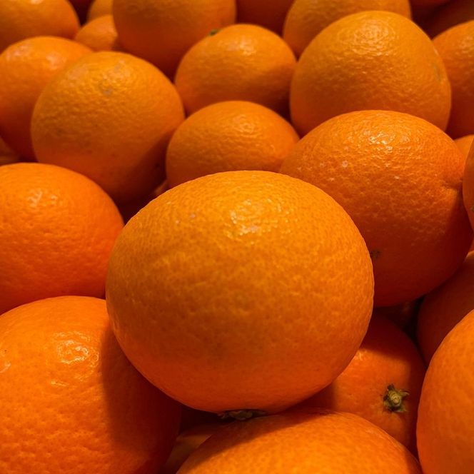 清見オレンジ１００％無添加ジュース720ml × 2本セット　CS011