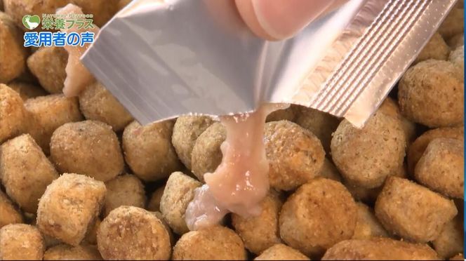 ナマコ入鹿肉ペースト【10本×4袋】※トリーツ