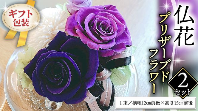 y錧}szMtg╧ԃvU[uht[×2 [CT038ci]