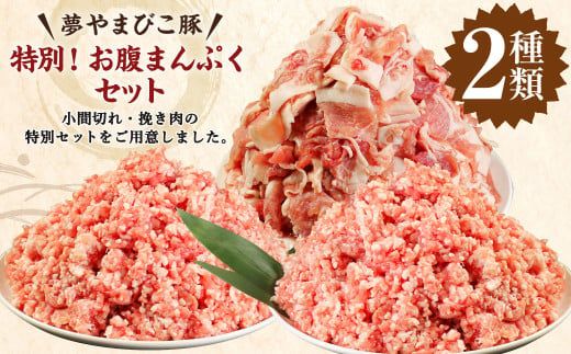 夢やまびこ豚 特別！お腹まんぷくセット 小間切れ 挽肉 計4kg（各500g×4袋） 豚肉 お肉 豚 こま切れ ミンチ