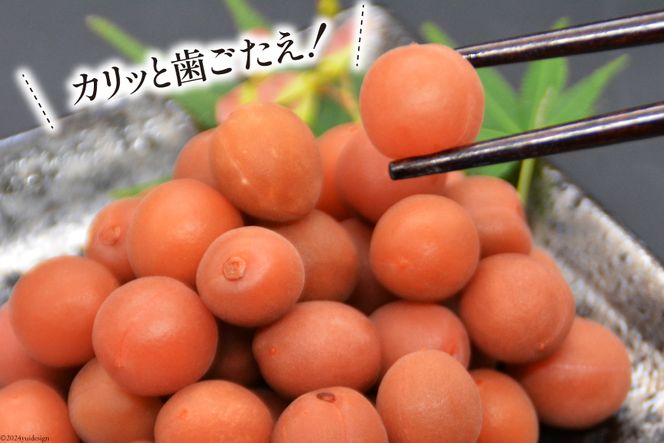 【6回 定期便 毎月】【カリカリ】甲州小梅 300g [山梨農産食品 山梨県 韮崎市 20742549] 梅干し 梅干 うめぼし 梅 小粒 小梅 カリカリ梅 国産 おやつ