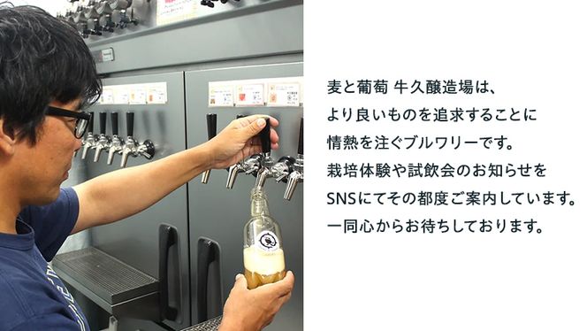 【 6ヶ月隔月 】 クラフトビール おまかせ 定期便 6本セット 飲み比べ 茨城県産 牛久醸造場 330ml × 6本 ビール 地ビール クラフト お酒 贈り物 ギフト 詰め合わせ [BJ035us]