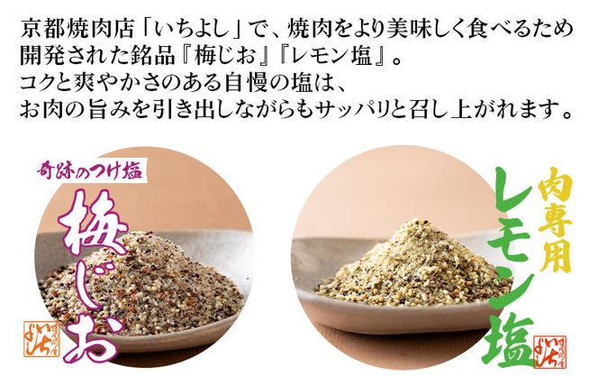 099H2494 焼き肉専門店 梅じお レモン塩 スパイスセット 90g×合計4袋 お試し