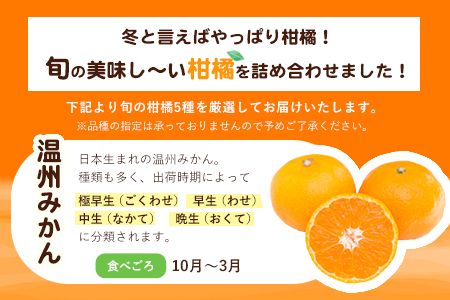 柑橘詰め合わせセット(5種類・10kg以上) 山本果樹園《12月上旬-1月末頃出荷》果物 フルーツ みかん---sh_ymmtbox_ad121_24_16000_10kg---