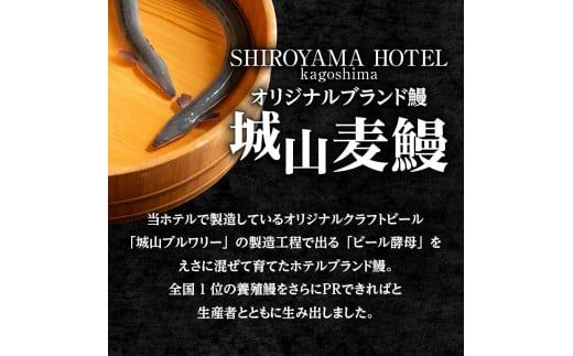 SHIROYAMA HOTEL kagoshima 城山麦鰻　K096-007