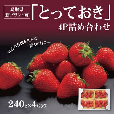 1026 鳥取県新ブランド苺「とっておき」4Ｐ詰合せ（苺工房たけうち）