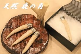 『天然・鹿の角』アクセサリー用パーツ　　※離島不可