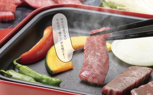 A-09 瀬戸の姫（焼肉用）《45日以内に出荷予定(土日祝除く)》