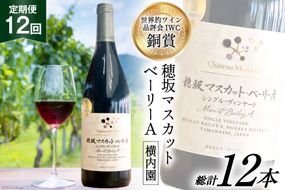 定期便 ワイン 赤 穂坂マスカット・ベーリーA シングル・ヴィンヤード 栽培責任者 横内栄人 750ml×12回 酒 赤ワイン/ シャトー・メルシャン 勝沼ワイナリー / 山梨県 韮崎市 [20741010]