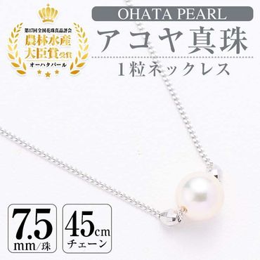 アコヤ真珠ネックレス留金K14WG ルビー