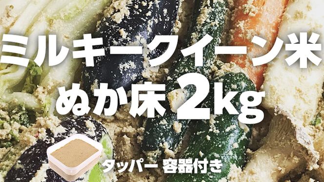 y錧}sz~L[NC[ ʂ 2kg ( ^bp[et )   R  ~L[NC[ ʂЂ ʂ ʂǂ [BJ005ci]