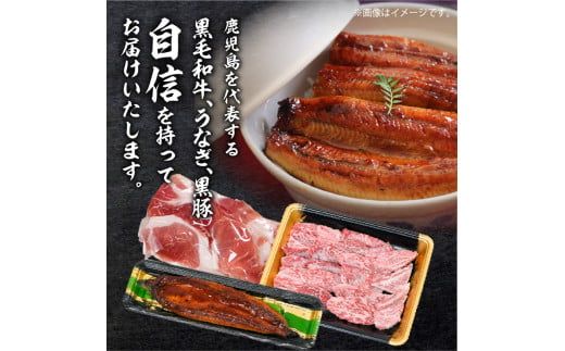 黒豚・黒毛和牛・うなぎ　鹿児島味の極み便A（焼肉）　 K086-013