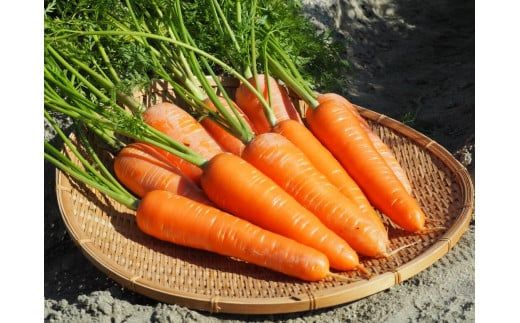 ＜フジテレビ『どっちのふるさと？』で紹介されました！＞ 福箱★2026 訳あり 野菜 にんじん マドンナキャロット 8.5kg 大小サイズ混合 国産 不揃い こどもも食べられる 甘み 料理 キャロット ジュース 野菜ジュース 福袋 愛知県 碧南市 お取り寄せ 送料無料 H105-168