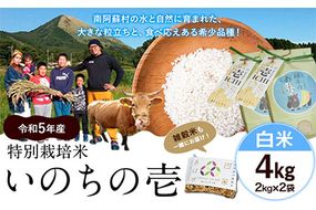 令和5年産 特別栽培米 いのちの壱(白米) 4kg 2kg×2 雑穀米付き《90日以内に出荷予定(土日祝を除く)》 熊本県 南阿蘇村 熊本県産 虹色のかば 白米 雑穀米---sms_nnktmiih5_90d_22_12000_4kg---