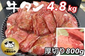 牛タン 熟成牛 塩タン 味付 4kg（200g×20パック）厚切り牛塩タン味付 800g付＜お肉のスーパーやまむらや＞