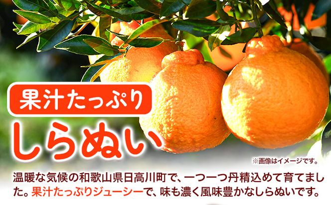 訳あり 不知火 ( デコポンと同品種 ) しらぬい 約5kg (M～5Lサイズ) どの坂果樹園《2025年2月上旬-4月上旬頃出荷》 和歌山県 日高町 しらぬい でこぽん 旬 果物 フルーツ 柑橘 訳あり不知火 訳ありデコポン 訳ありしらぬい 送料無料---wsh_dsk5_ad24_24_9000_5kg---