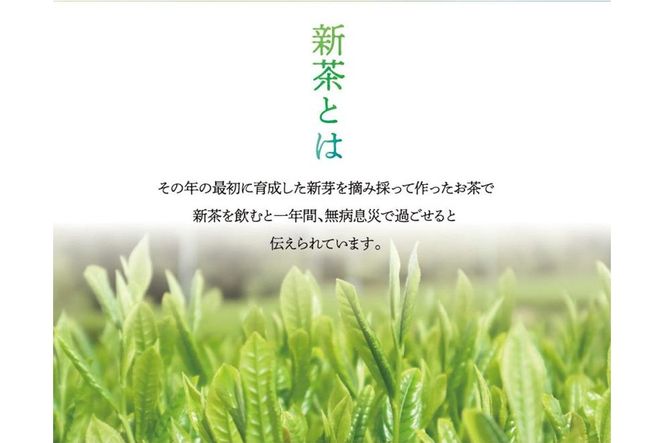 【A2-131】新茶 八女星野茶 120g 2本詰め＜先行予約＞