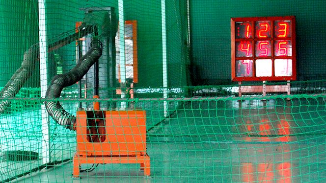 バッティング15回券・ピッチング1回券[CA002us]