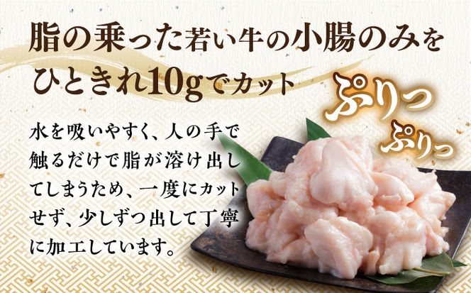 【年間100万食販売！】博多もつ鍋 おおやま もつ鍋 みそ味 2人前《築上町》【株式会社ラブ】[ABDJ004]