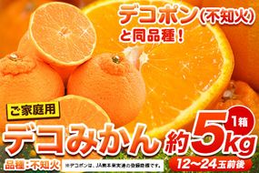 不知火 ご家庭用 デコみかん 約5kg 12～24玉前後《2025年2月上旬-4月末頃出荷》 デコポン（不知火）と同品種 熊本県産 熊本県 長洲町 訳あり---ng_dekomikan_af24_25_10000_5kg---