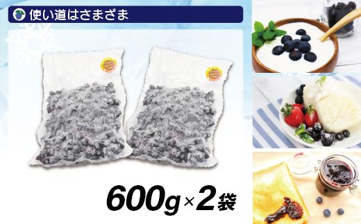 有機栽培・農薬不使用！急速冷凍ブルーベリー 1.2kg 【JAほたるの里】_HA0957