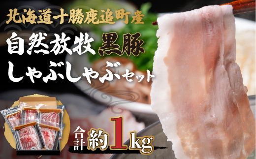 ykCǒzǎY Rq؂ԂԃZbg SKN001