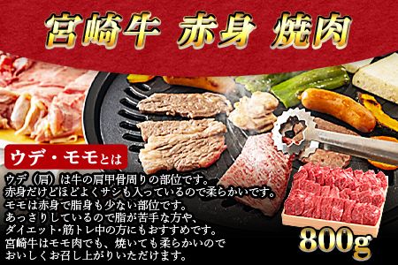 ＜3か月定期便 宮崎牛お楽しみセット＞翌月末迄に第一回目発送【a0321_em_x3】