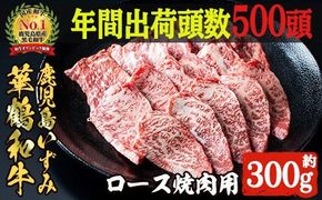 商標登録のブランド黒毛和牛肉！鹿児島いずみ華鶴和牛の焼き肉用ロース(約300g) 阿久根市 国産 九州産 鹿児島県産 特産品 肉 牛肉 焼肉 希少【鹿児島いずみ農業協同組合】a-20-1-z