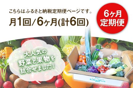 6ヶ月定期便 旬の新鮮野菜・果物詰合せセット(計6回お届け) たっぷり10-15品目 熊本県氷川町産 道の駅竜北《お申込み月の翌月から出荷開始》---sh_cmitysibtei_21_124000_mo6num1---