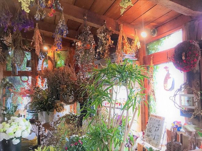 【圧巻の50本】真っ赤なバラの花束 H092-048