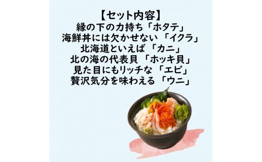 厳選！プレミアム海鮮丼セット10個入 ( うに ウニ 雲丹 貝 かい 海鮮丼 海鮮 魚介類 丼 プレミアム セット ふるさと納税 )【094-0066】