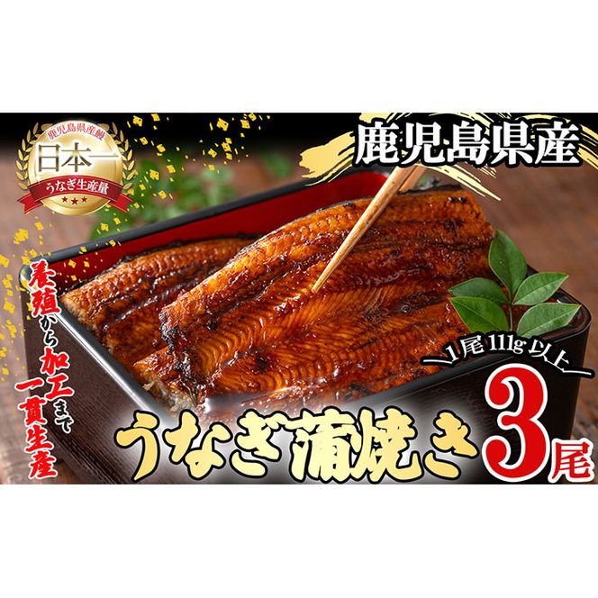 yuzuszї{V̂Ȃ v333gȏ(111gȏ×3) b0-175