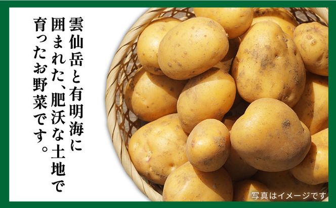 【3回定期便】地元の農家さんが収穫した旬のお野菜 詰め合わせセット 野菜定期便 野菜詰め合わせ / 南島原市 / ミナサポ [SCW045]