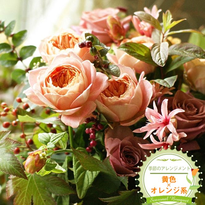 y_ސ쌧钬z159-2039-07@G߂̃AWgiAWgEԁFF×IWnj@OƂ肵ẴI[_[ChB{̂ԂƋG߂̃O[A}킹Ăpӂ܂By ԑ AWg _ސ쌧 钬 z