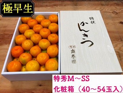 定期便 先行受付 2026年 10月発送スタート 有田みかん 食べくらべ 3種 化粧箱 各約 3kg 全3回 南泰園 BS806