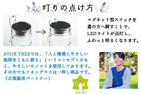 ＜ボタニカルアート ソネングラス＞翌月末迄に順次出荷【a0348_at_x4】