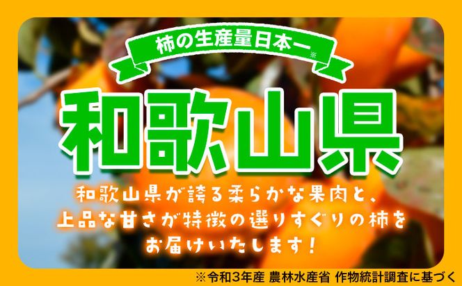 【先行予約】紀州かつらぎ山の食べやすい干し柿 化粧箱入 25g×10個 株式会社魚鶴商店《2026年1月中旬-1月末頃出荷予定》 和歌山県 日高町 平核無柿 ひらたねなし柿 かき カキ---wsh_utskkhk_j1_23_13000_10p---