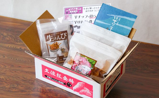 利休　とんとん紙相撲と生けんぴのセット