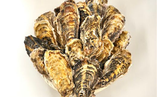 ＼先行予約／北海道 仙鳳趾名産 牡蠣 100g～149g×30コ+かきナイフ付き かき漁師直送 K3-2＜出荷時期：2026年7月1日～順次出荷＞＜センポウシ : 釧路町の東 厚岸湾の西 カキの名産地＞ | せんぽうし 牡蠣 生食用 殻付き 生牡蠣 絶品 産地直送 北海道 釧路町 釧路超 特産品 121-1268-55